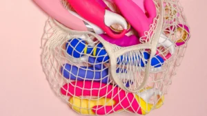 Top-Rated Dog Dildos and Their Unique Features