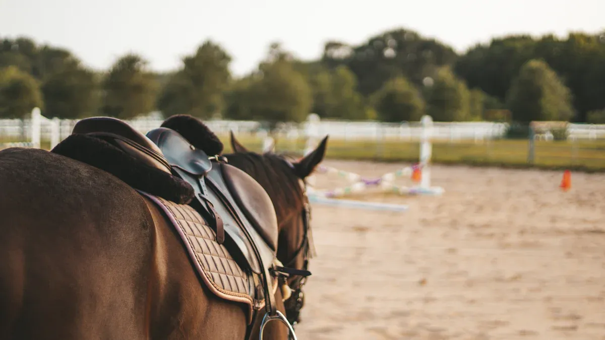 What Are Horse Dildos and Their Unique Features