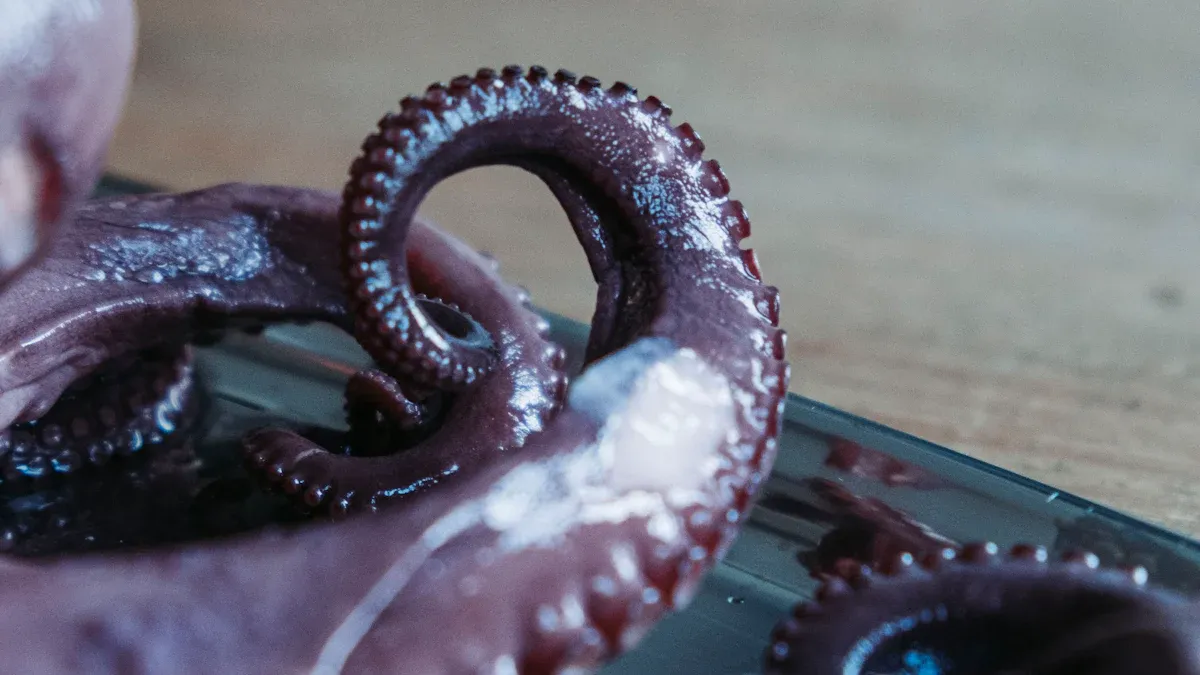 Top 7 Tentacle Dildos Reviewed for 2025