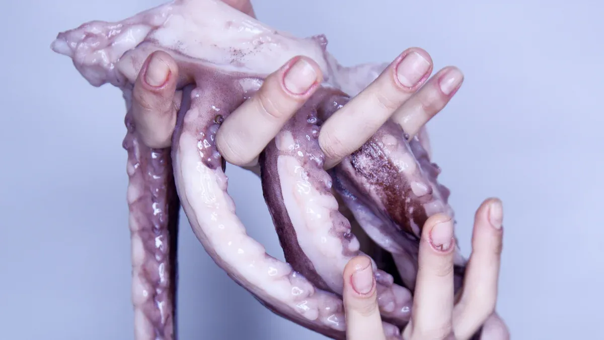 Top 10 Tentacle Dildos Reviewed for 2025