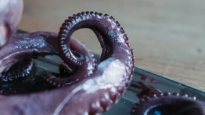 What Is a Tentacle Dildo and How Do You Use One